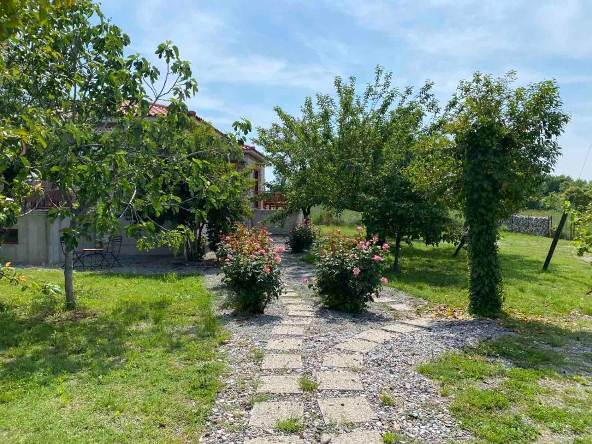 Kampus Luxury Villas Trikala  Exterior photo
